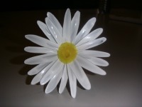 FLÔR DE MARGARIDA